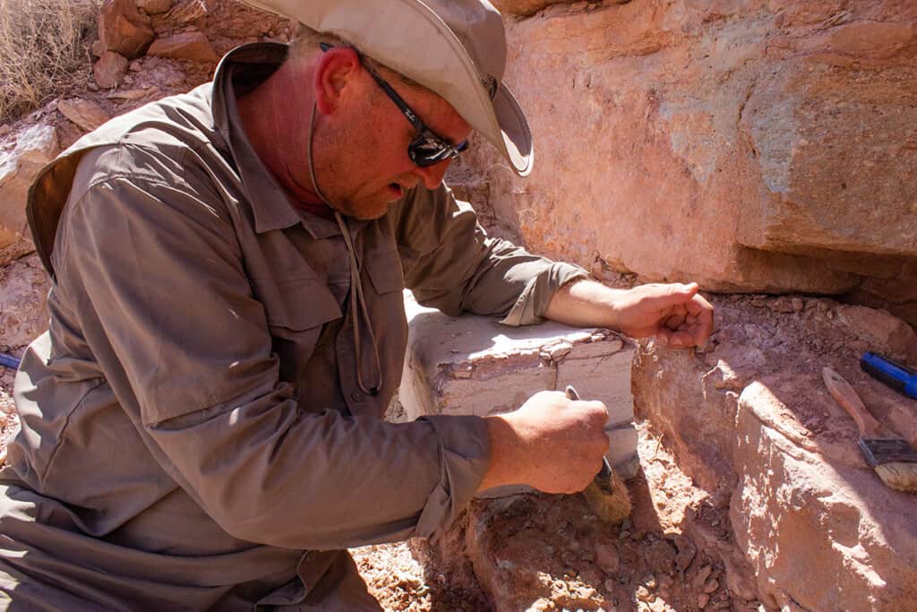 The Groundbreaking Discovery of a Tiny T-Rex in Utah