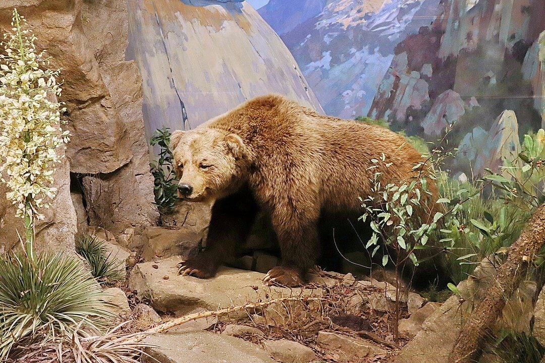 Extinct Animals Science Could Bring Back