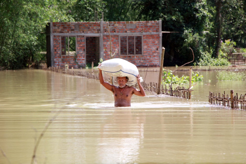 Shocking Photos that Prove Humans Destroy Everything They Touch