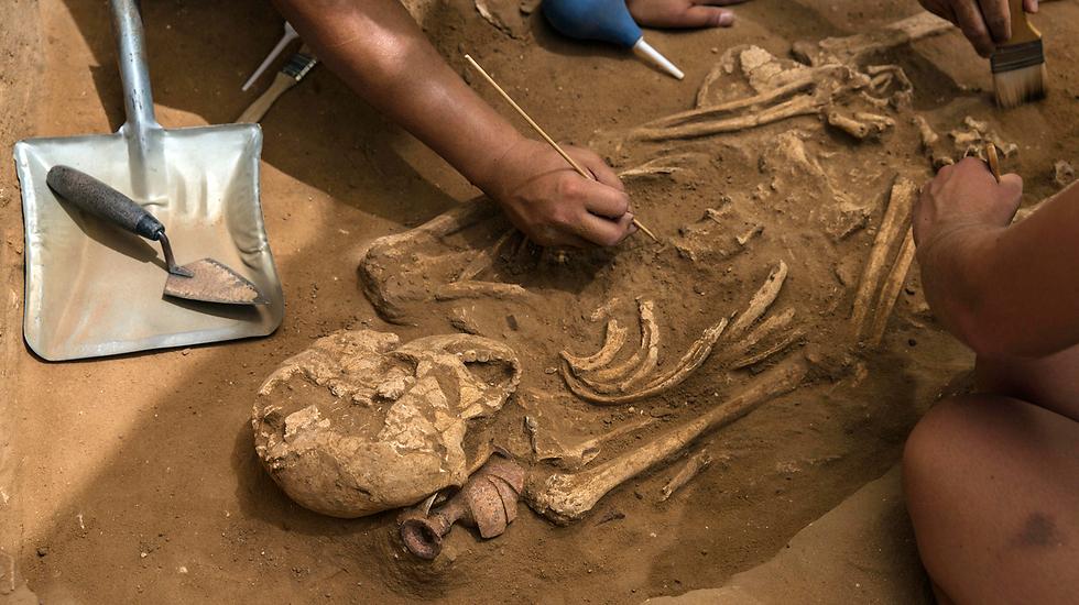 DNA Reveals the Origins of the Ancient Philistines