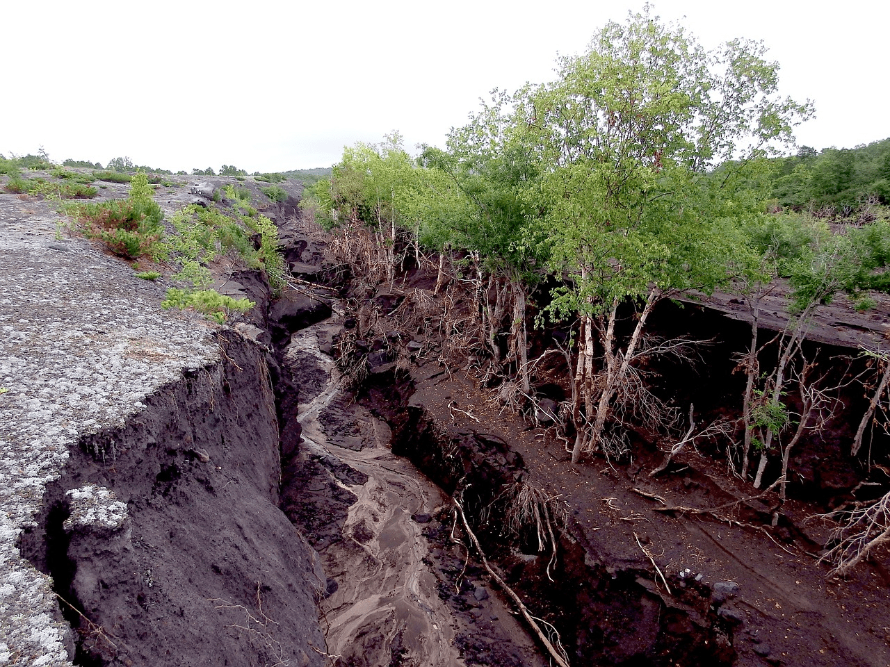 The Garlock Fault Line Is Finally Slipping (And Other Catastrophic Earthquakes in California)