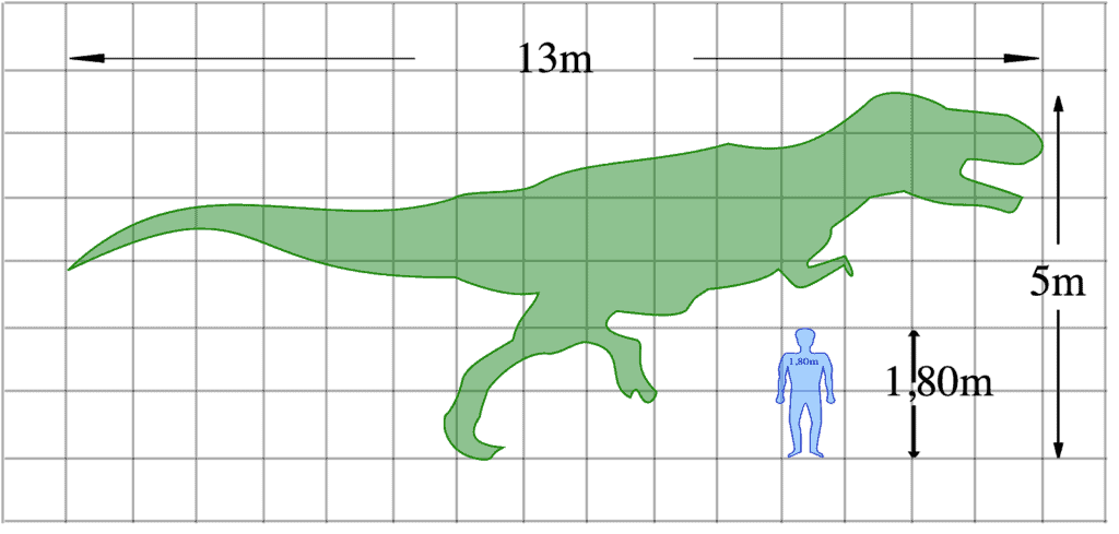 The Groundbreaking Discovery of a Tiny T-Rex in Utah