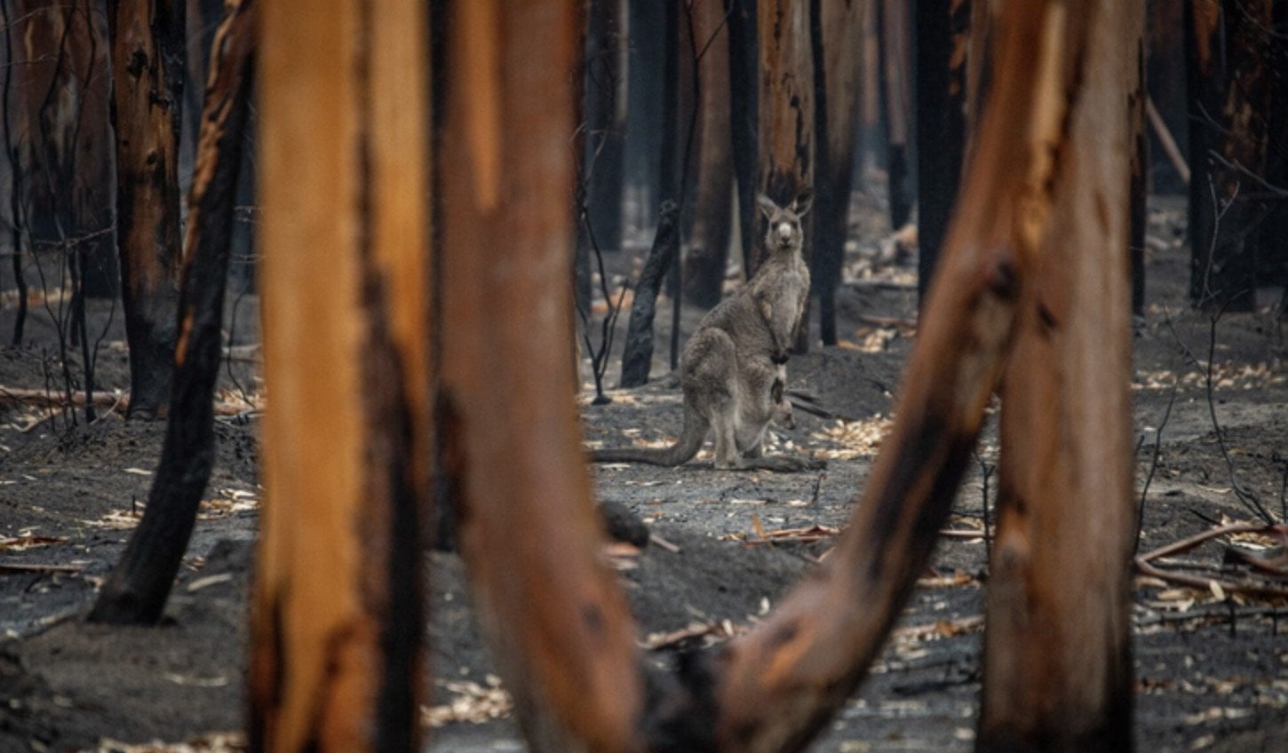 Shocking Photos that Prove Humans Destroy Everything They Touch