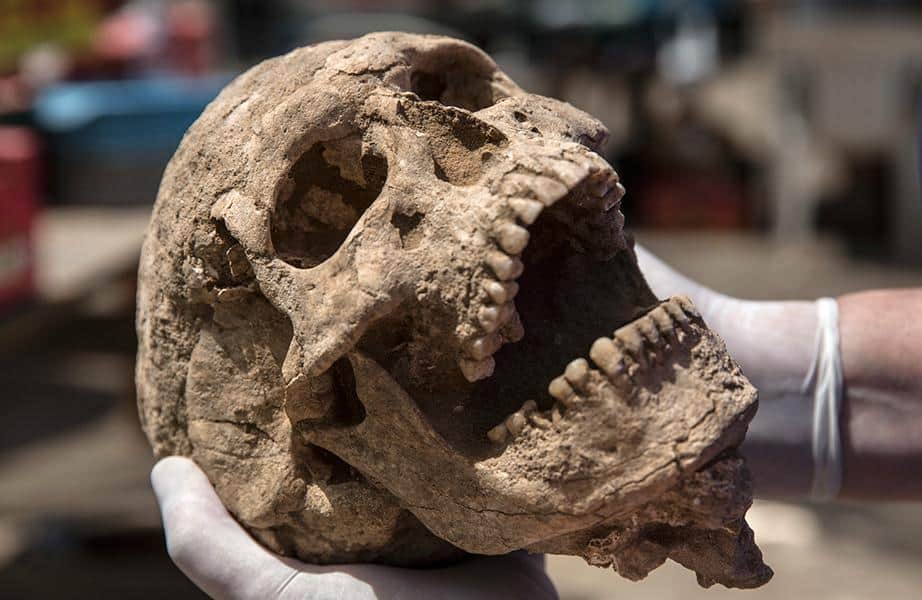 DNA Reveals the Origins of the Ancient Philistines