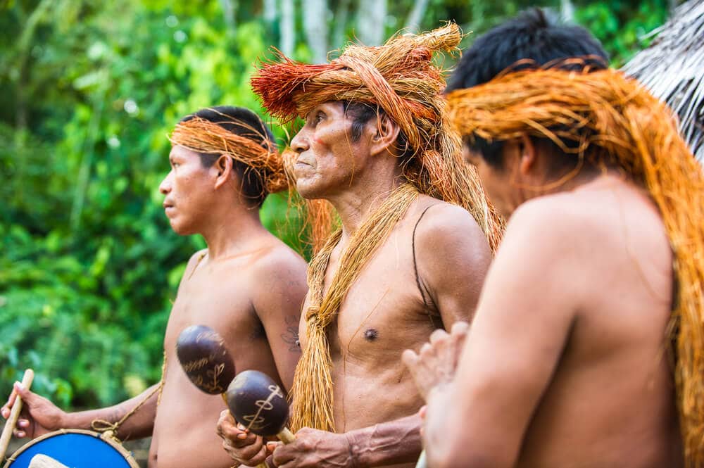 Amazing Creatures Found in the World&#8217;s Largest Rainforest