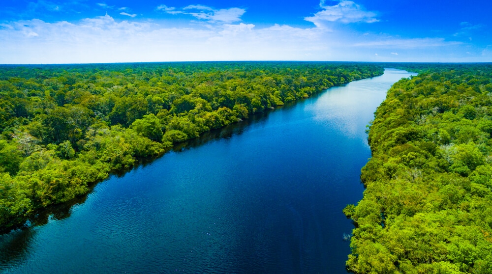 Amazing Creatures Found in the World&#8217;s Largest Rainforest