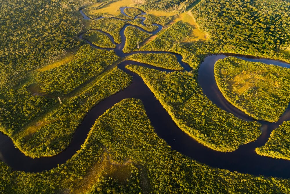 Hidden Secrets Of The Amazon Rainforest