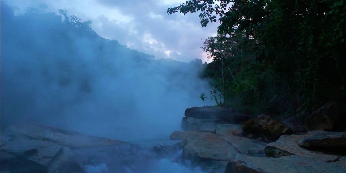 Hidden Secrets Of The Amazon Rainforest