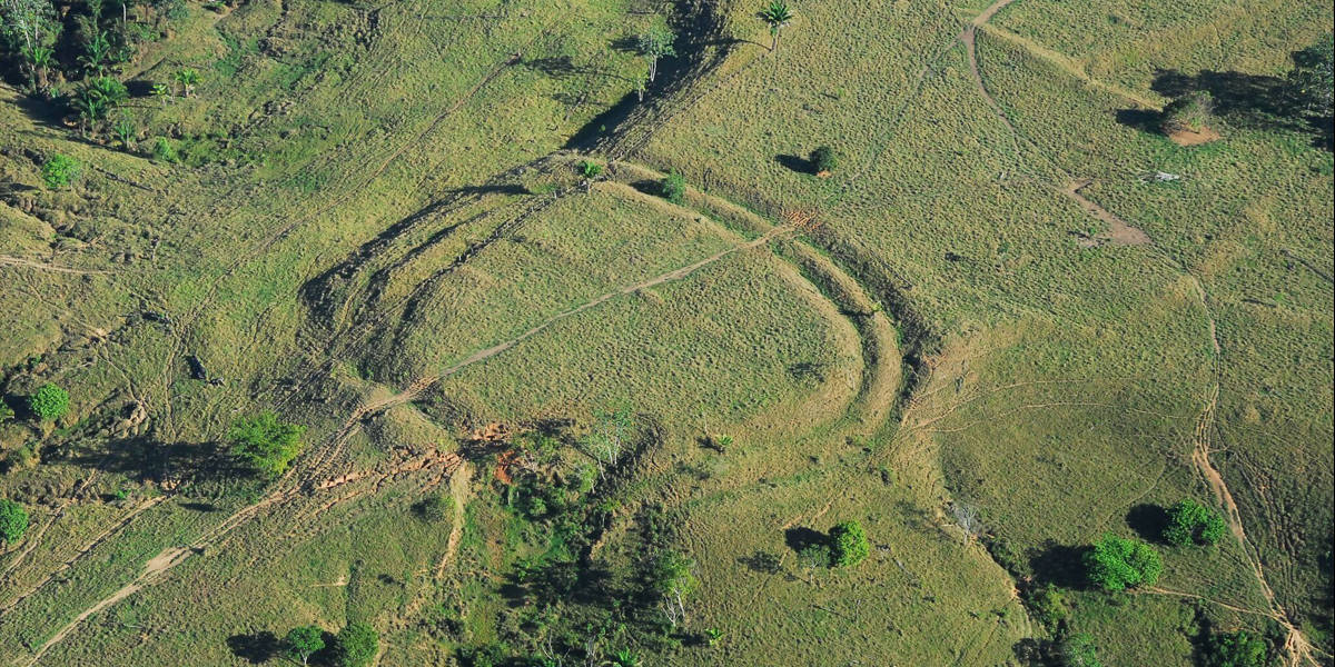 Hidden Secrets Of The Amazon Rainforest