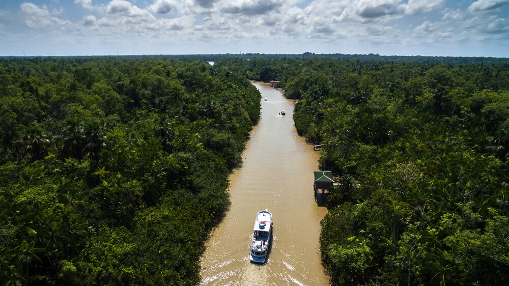 Hidden Secrets Of The Amazon Rainforest