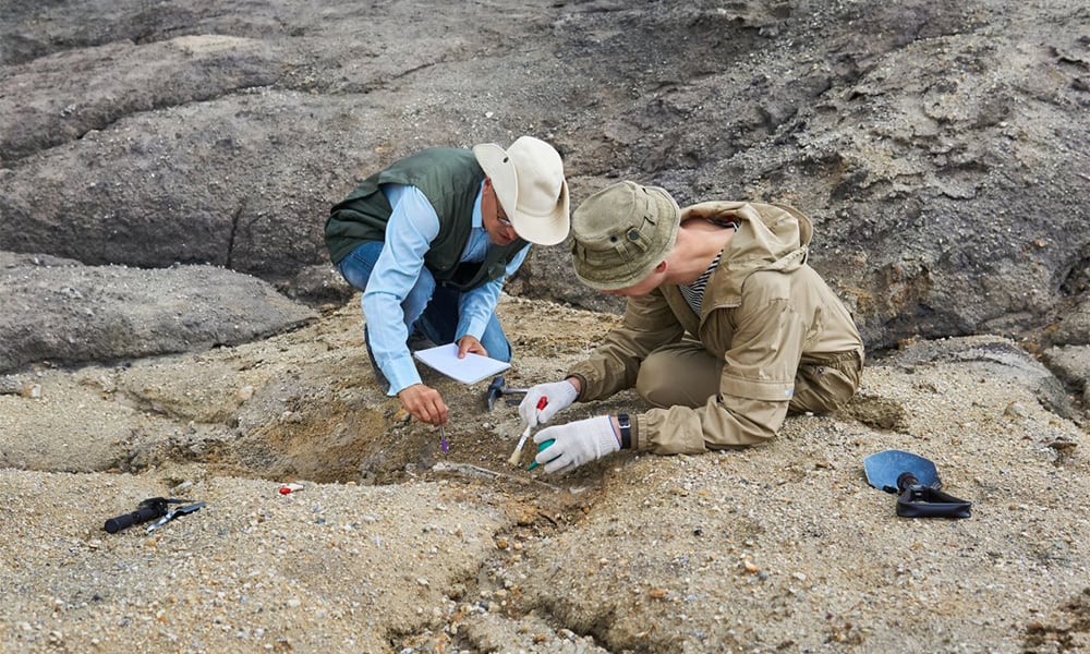 The Groundbreaking Discovery of a Tiny T-Rex in Utah