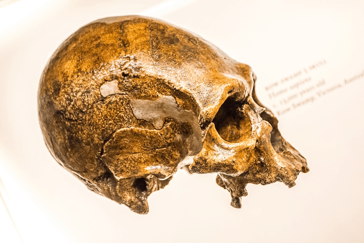 Common Ideas about Neanderthals and Prehistoric Peoples That Aren&#8217;t True