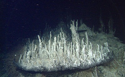 The Amazing Truth About The Lost City, and What It Reveals About Underwater Mountains