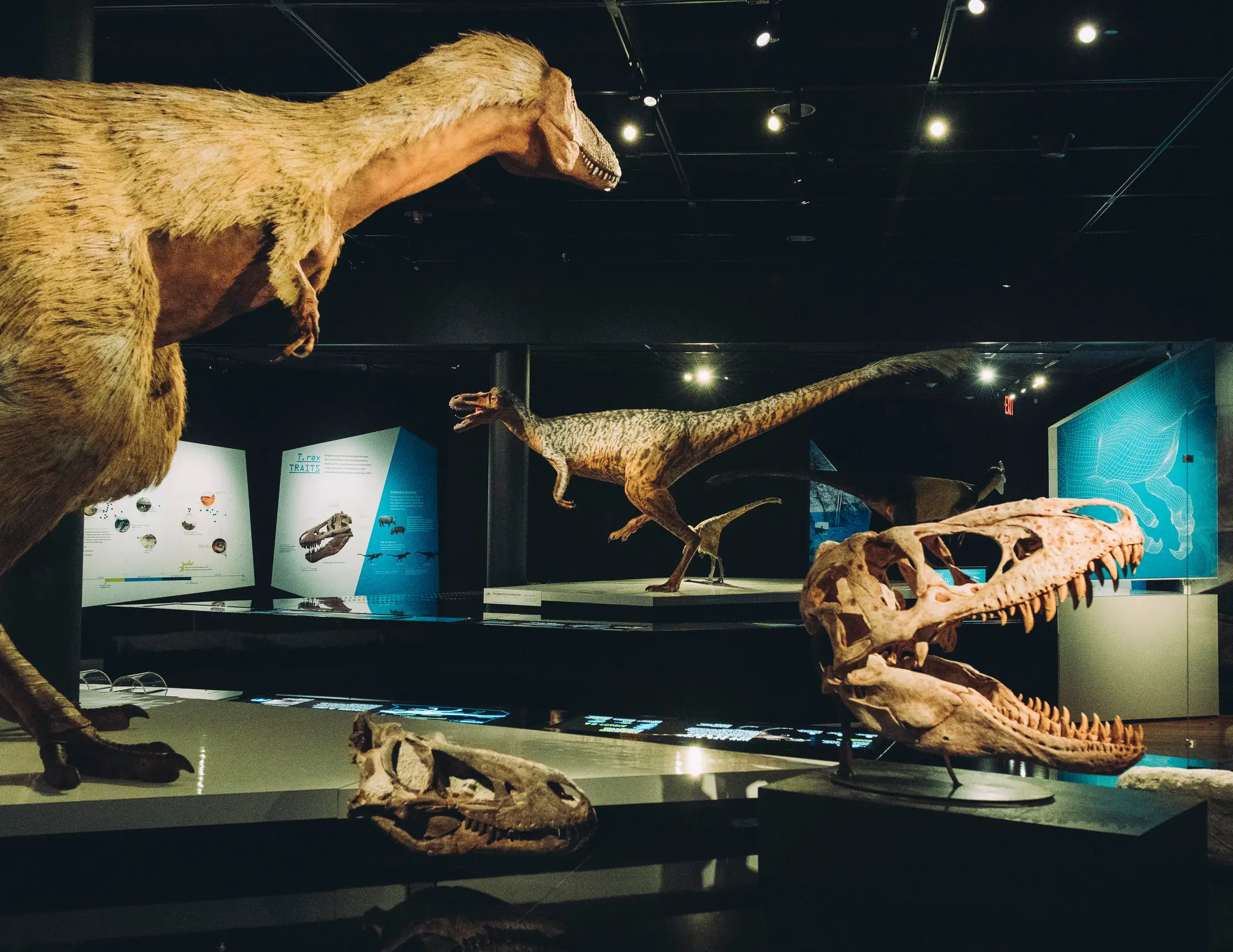 Dinosaur Discoveries That Changed Everything We Thought We Knew