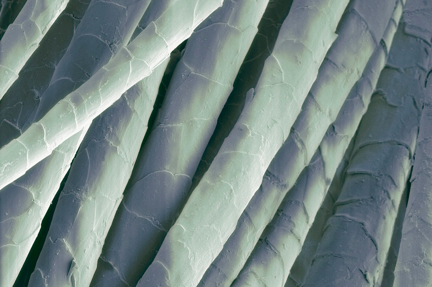 These Everyday Items Turn Into Something Incredible Under a Microscope