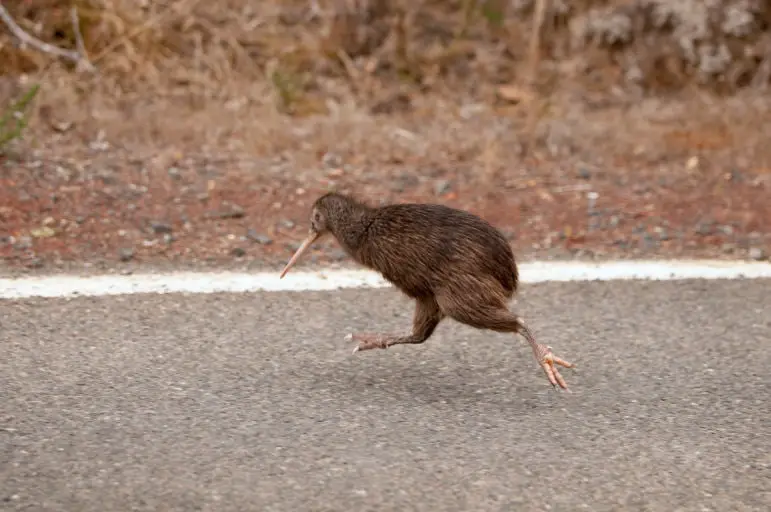 The Most Extreme Animal Babies In Nature