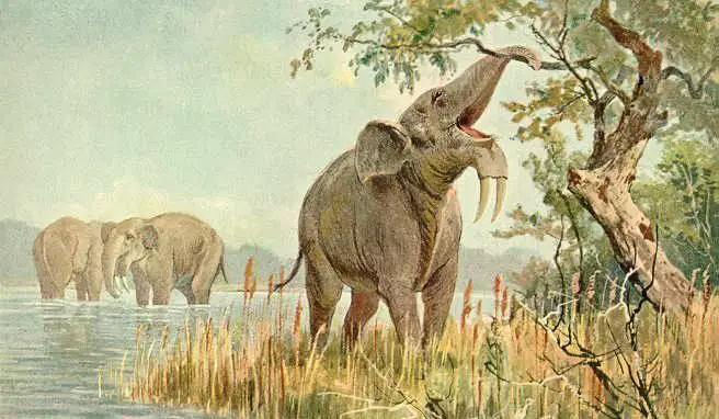 Massive and Terrifying Extinct Animals that Roamed the Earth