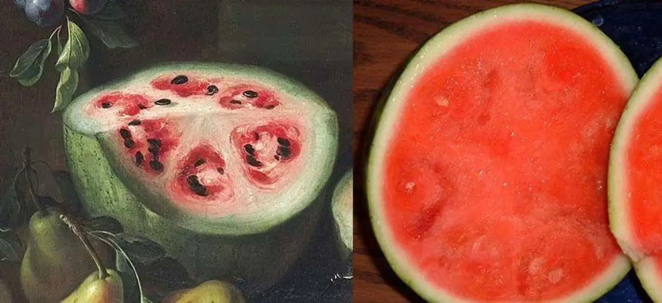 Humans Interfered With Nature And Now This Is What Fruits &#038; Vegetables Look Like