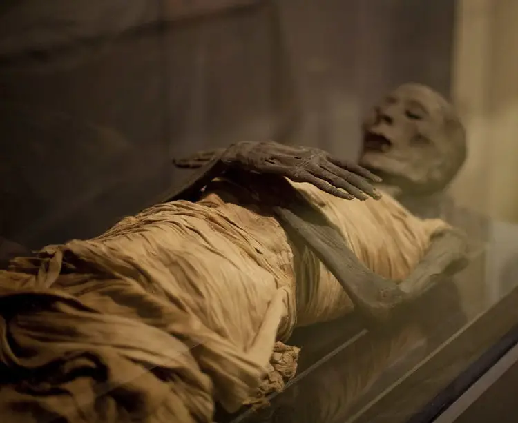 The Science Behind Ancient Egypt&#8217;s Mummies