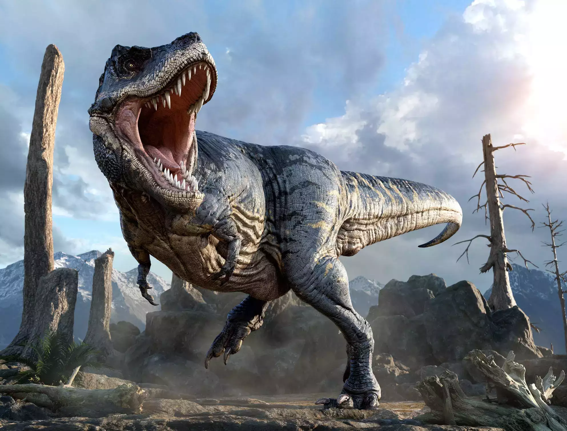 Dinosaur Discoveries That Changed Everything We Thought We Knew