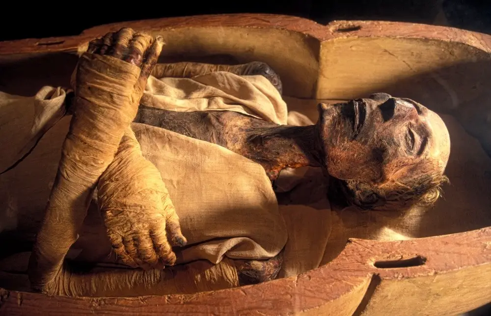 The Science Behind Ancient Egypt&#8217;s Mummies