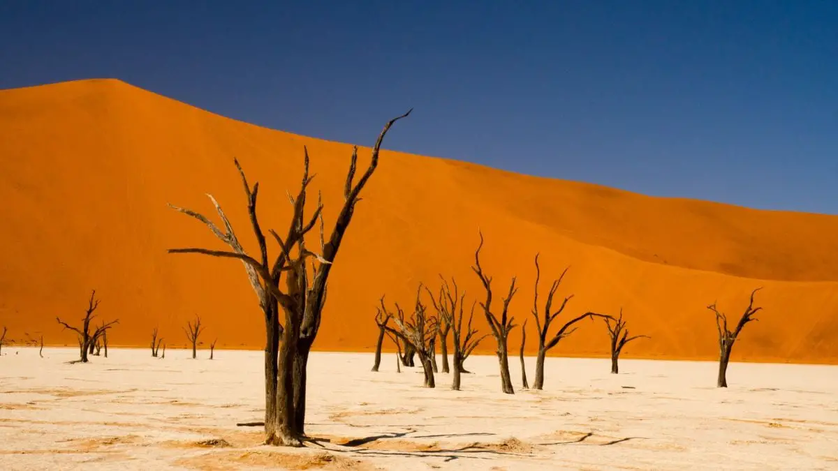 Alien Landscapes on Earth: Unbelievable Photos of Otherworldly Places