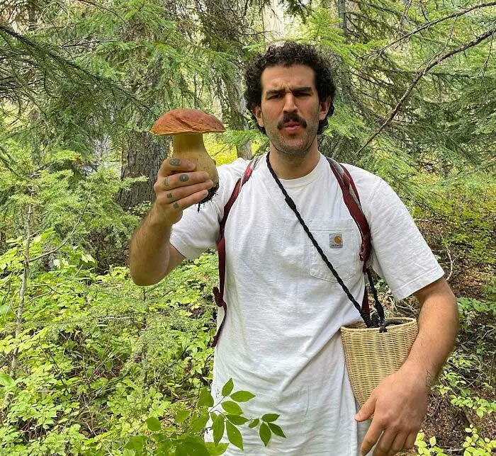 These People Found Mushrooms So Incredible, They Had to Take It to the Internet