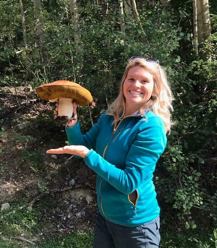 These People Found Mushrooms So Incredible, They Had to Take It to the Internet