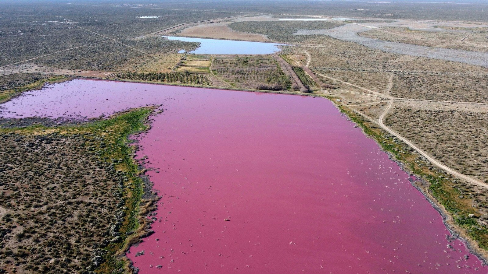 Shocking Photos that Prove Humans Destroy Everything They Touch