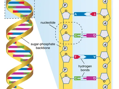 Bad Science From the 1980s We&#8217;d Like To Forget