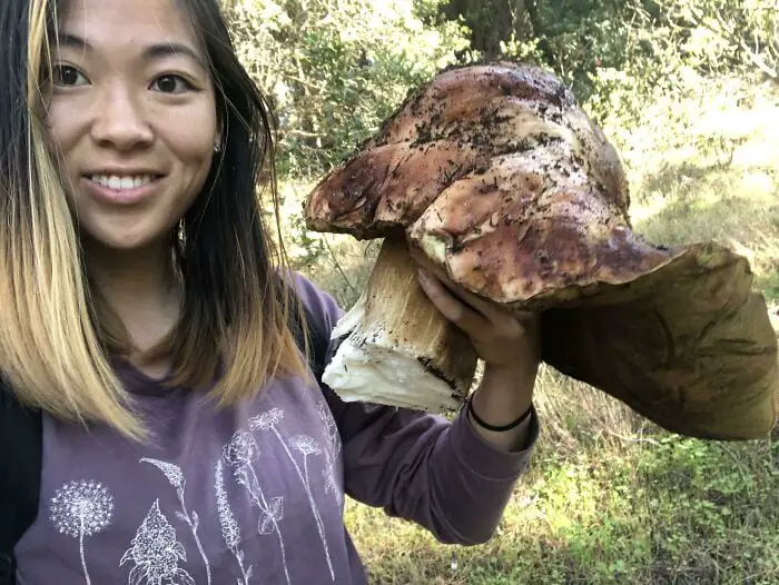 These People Found Mushrooms So Incredible, They Had to Take It to the Internet