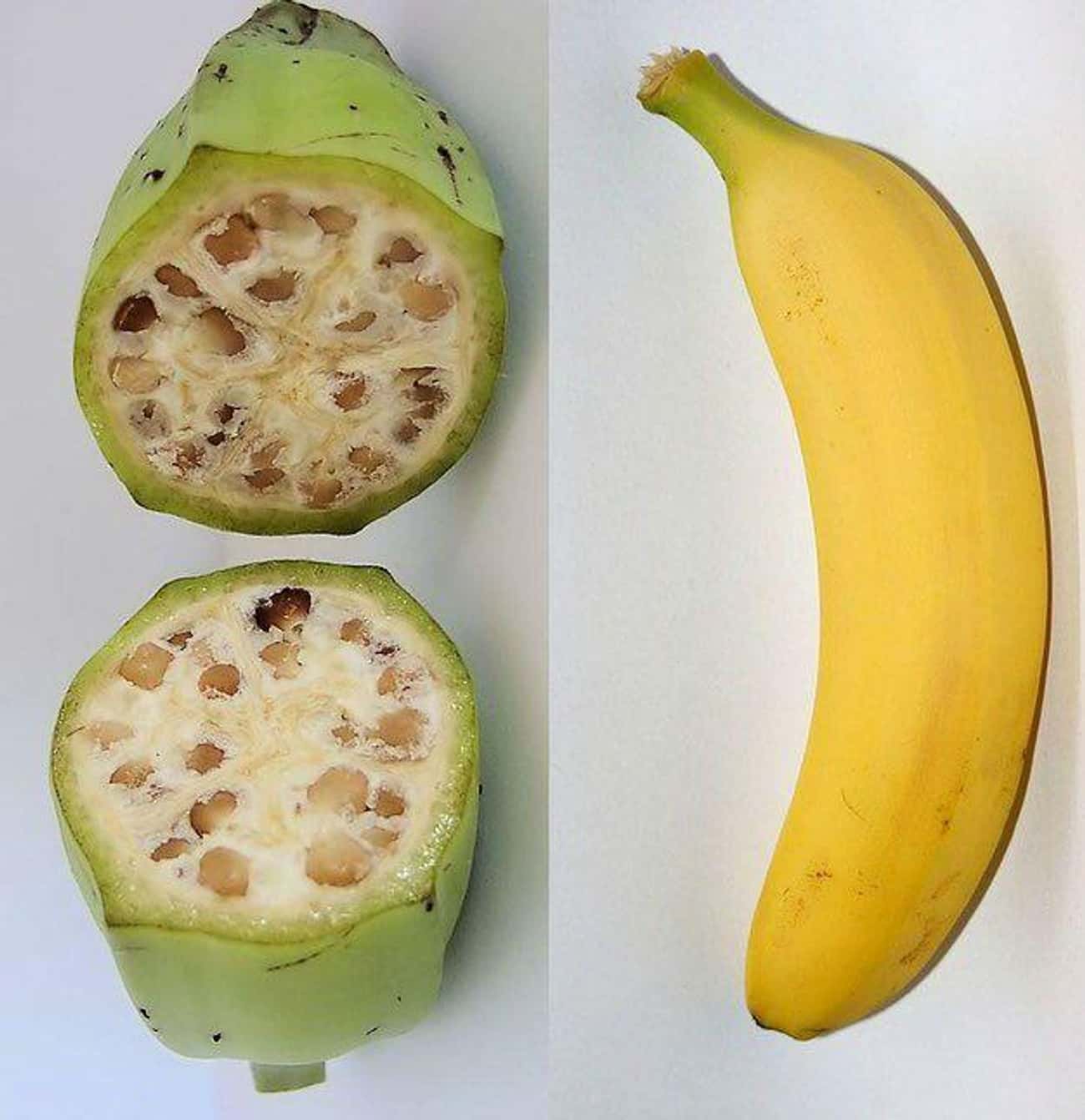 Humans Interfered With Nature And Now This Is What Fruits &#038; Vegetables Look Like