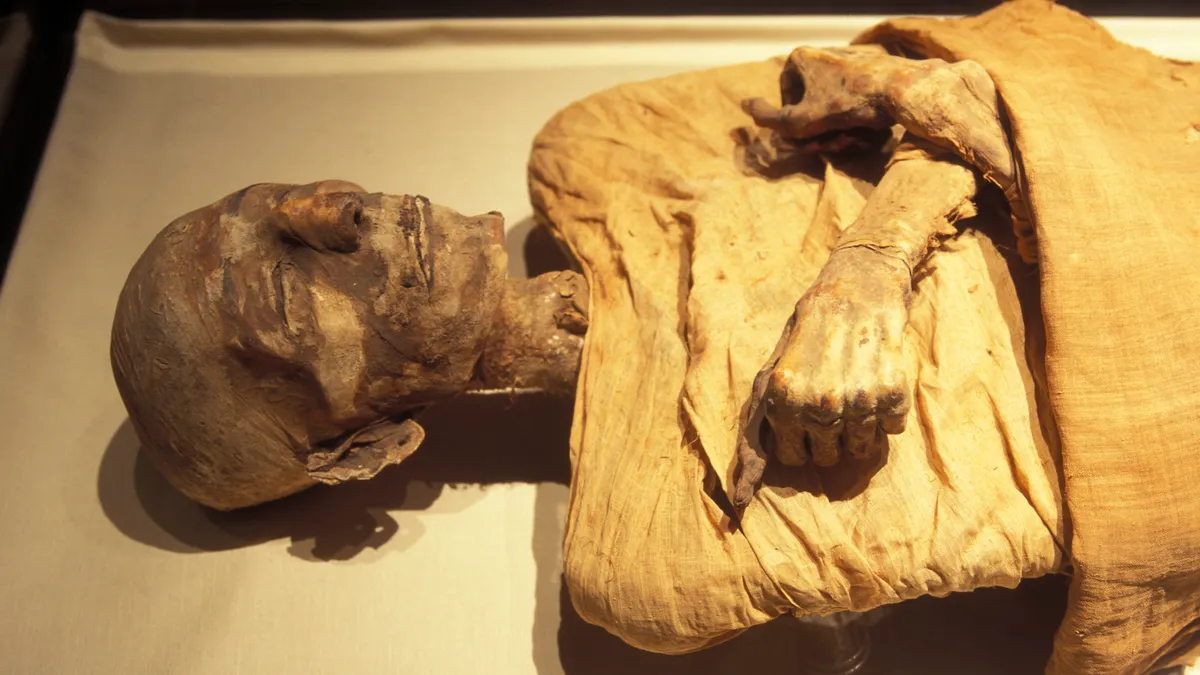 The Science Behind Ancient Egypt&#8217;s Mummies