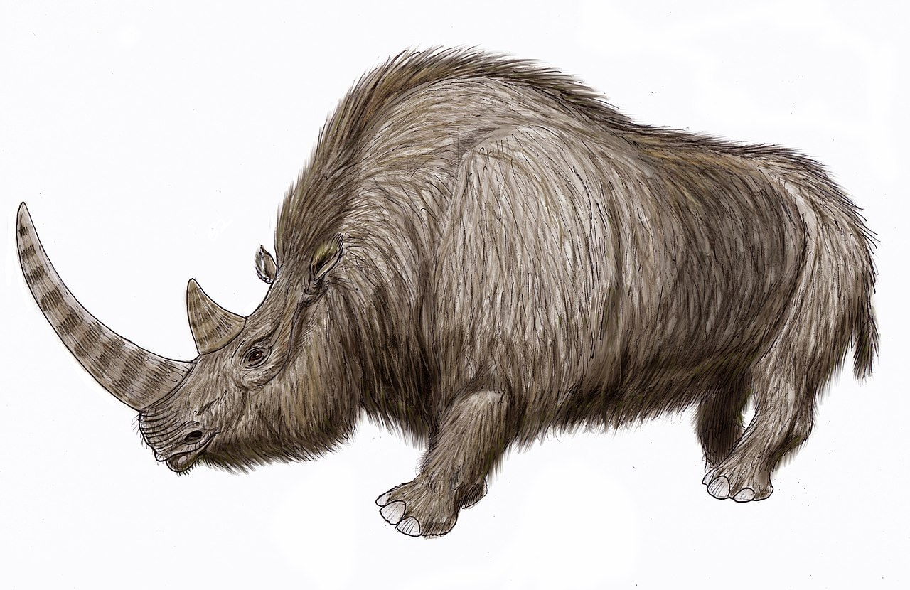 Massive and Terrifying Extinct Animals that Roamed the Earth