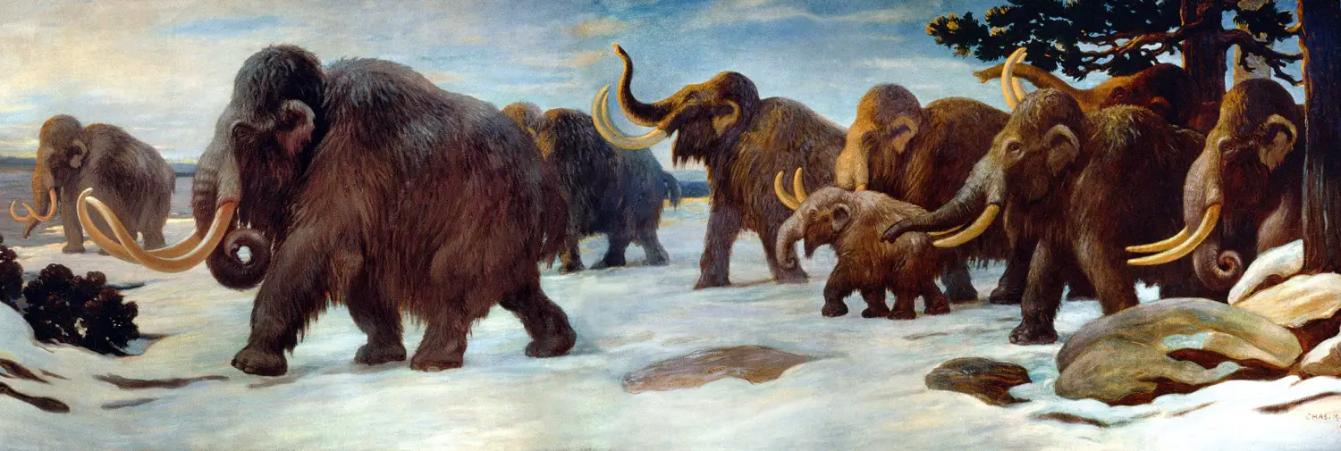 Massive and Terrifying Extinct Animals that Roamed the Earth