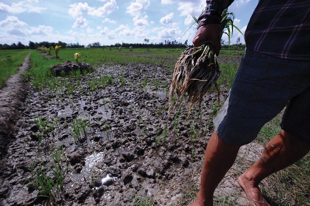 Shocking Photos that Prove Humans Destroy Everything They Touch