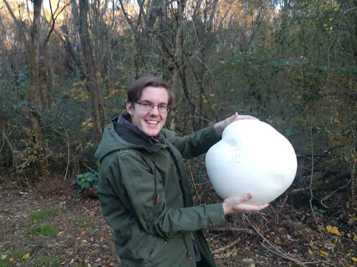 These People Found Mushrooms So Incredible, They Had to Take It to the Internet