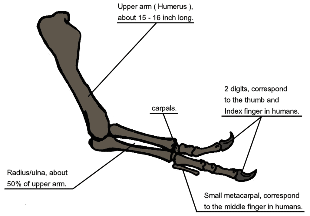 The Groundbreaking Discovery of a Tiny T-Rex in Utah