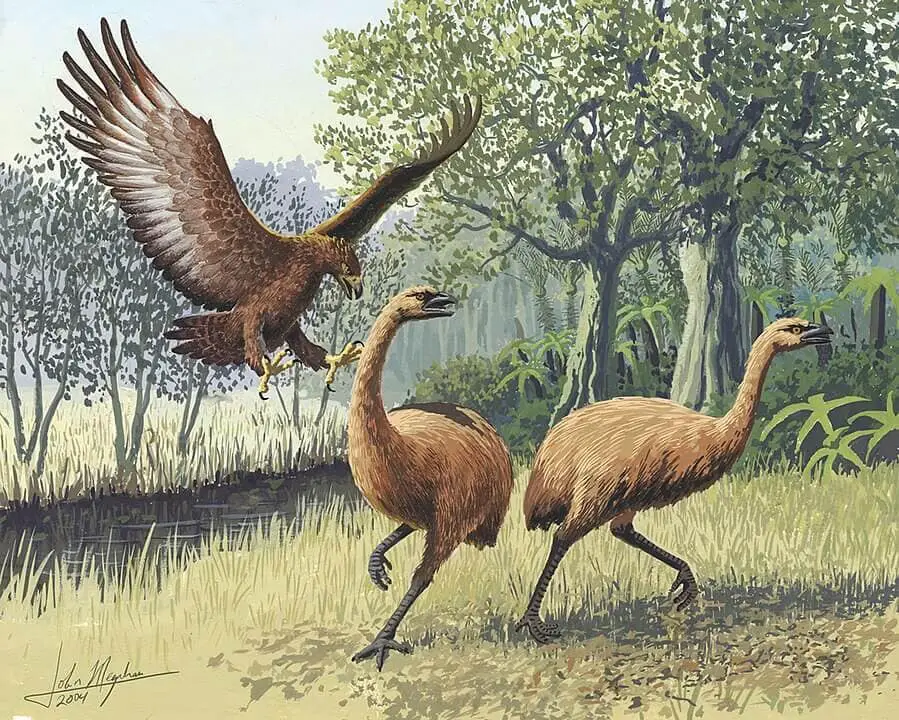 Massive and Terrifying Extinct Animals that Roamed the Earth