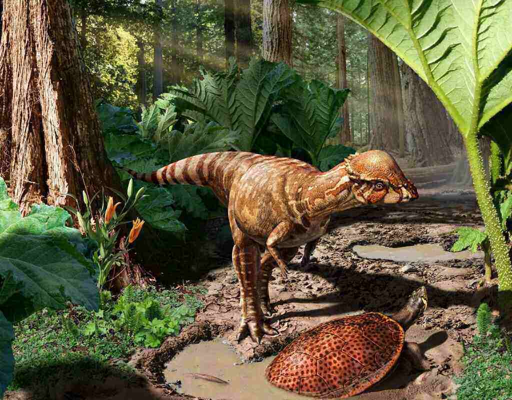 40 Dinosaurs Discovered in North America