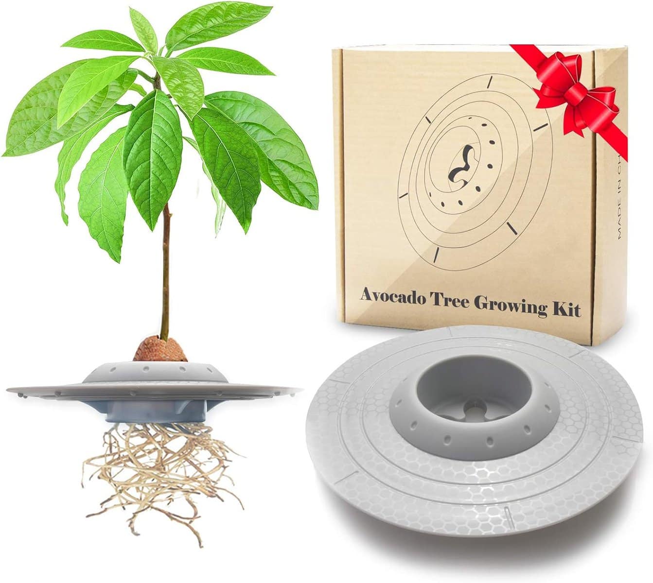 Grow Plants Like a Botanist Thanks to These Gardening Products