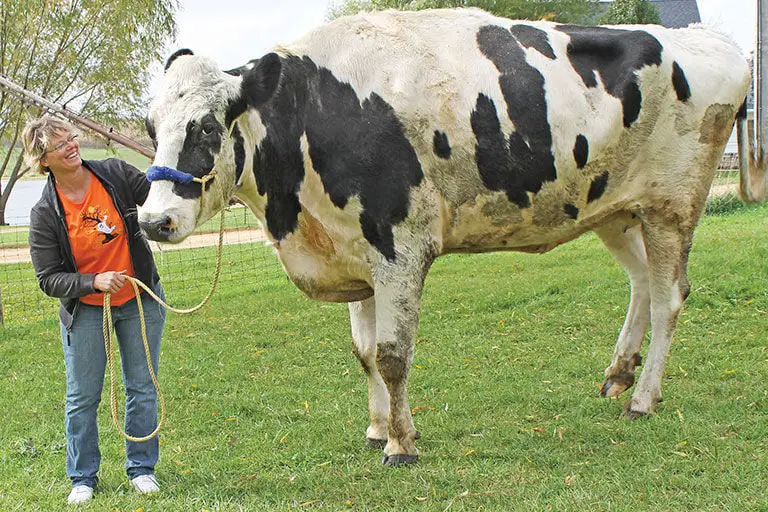 These Record-Breaking Animals Defy Science