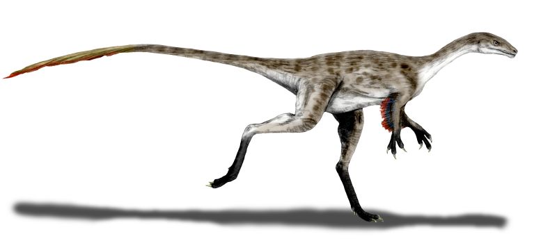 40 Dinosaurs Discovered in North America