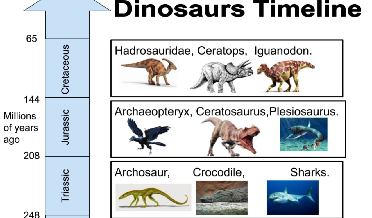 What Jurassic Park Always Gets Wrong About Dinosaurs