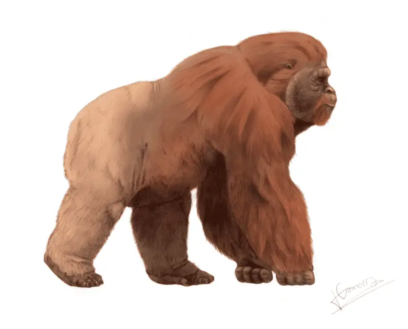 Massive and Terrifying Extinct Animals that Roamed the Earth