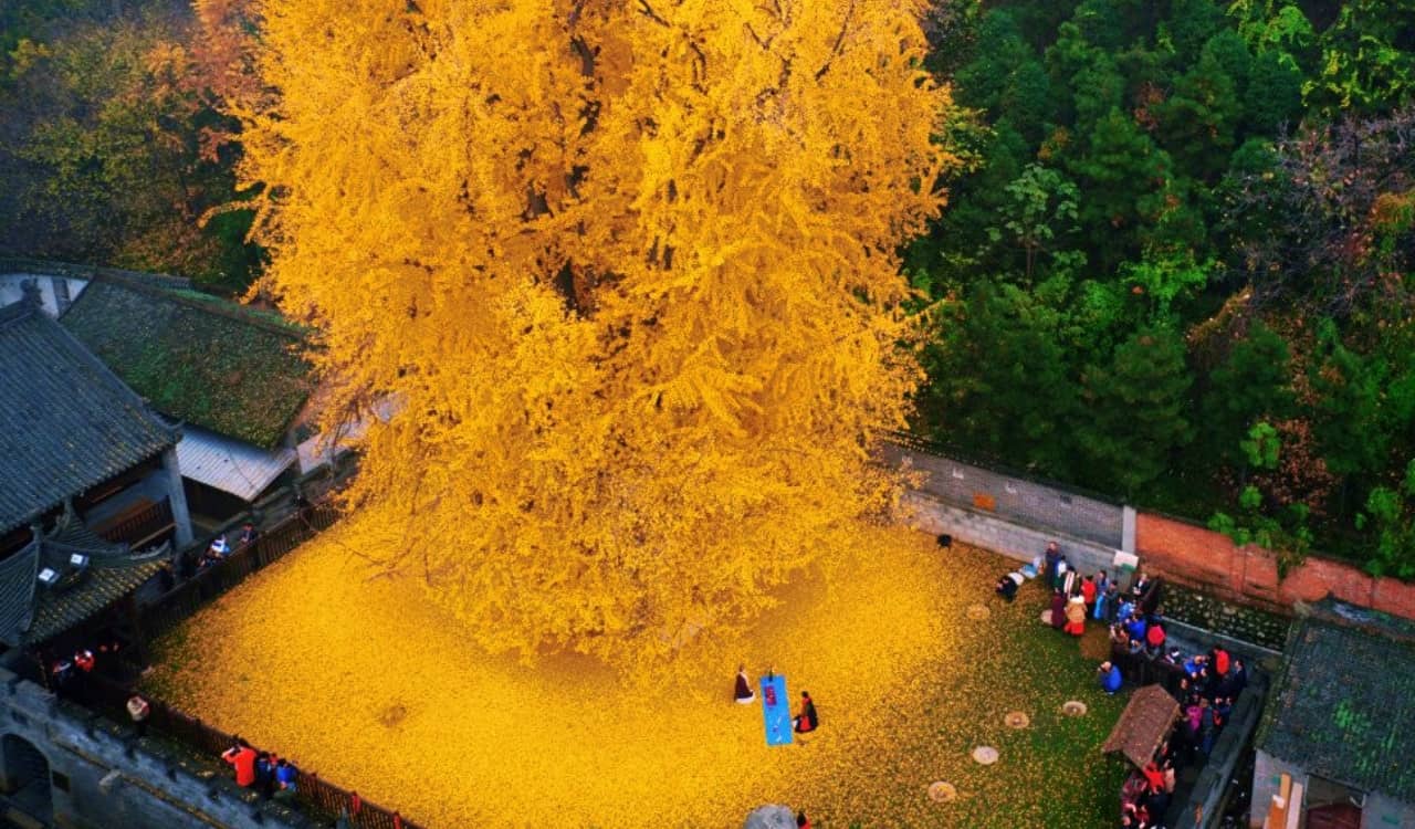 People Found the Most Mind-blowing Photos of Nature and Posted Them