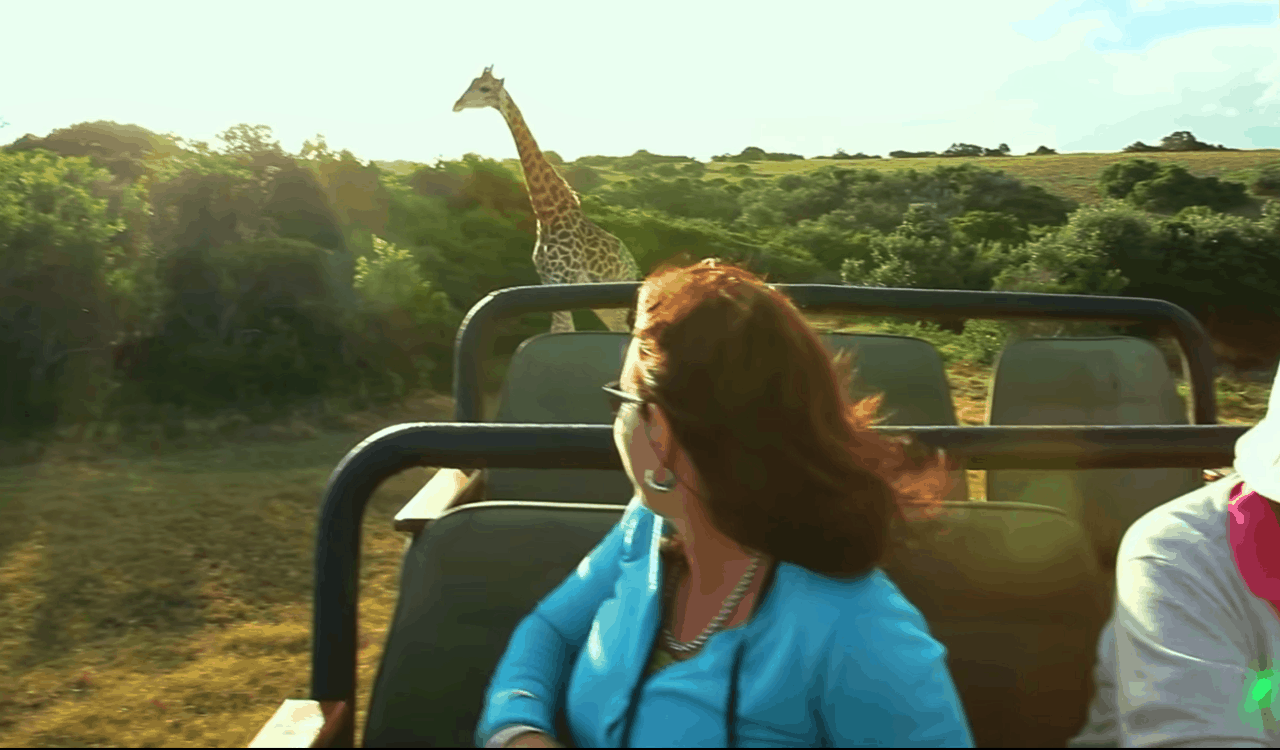 People Open Up About Their Nightmare Wildlife Safari Stories