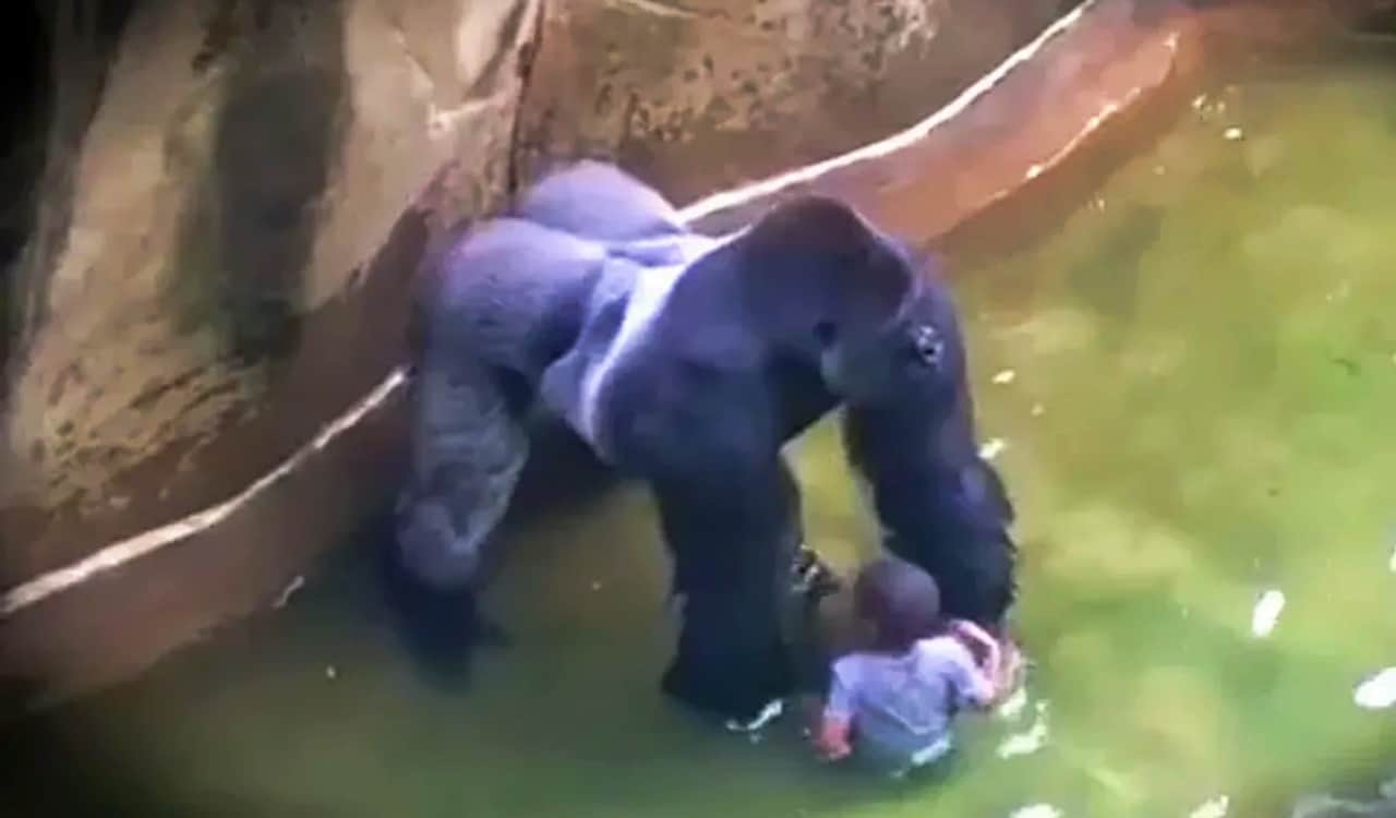 The Worst Things That Ever Happened At Zoos