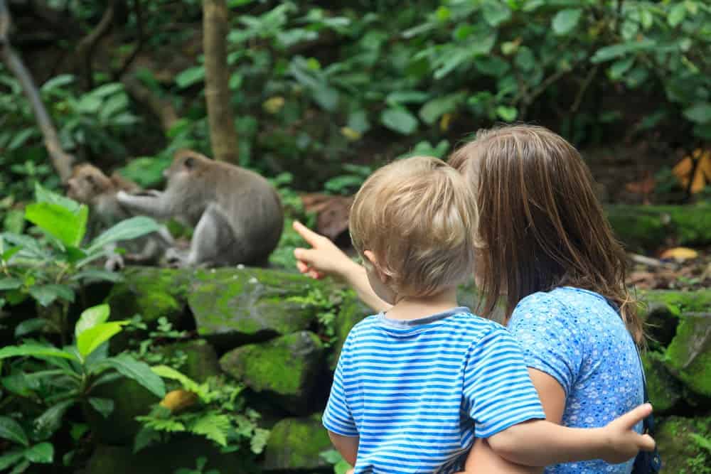 Jane Goodall Exhibit Showcases Her Contributions to Animals and the Earth