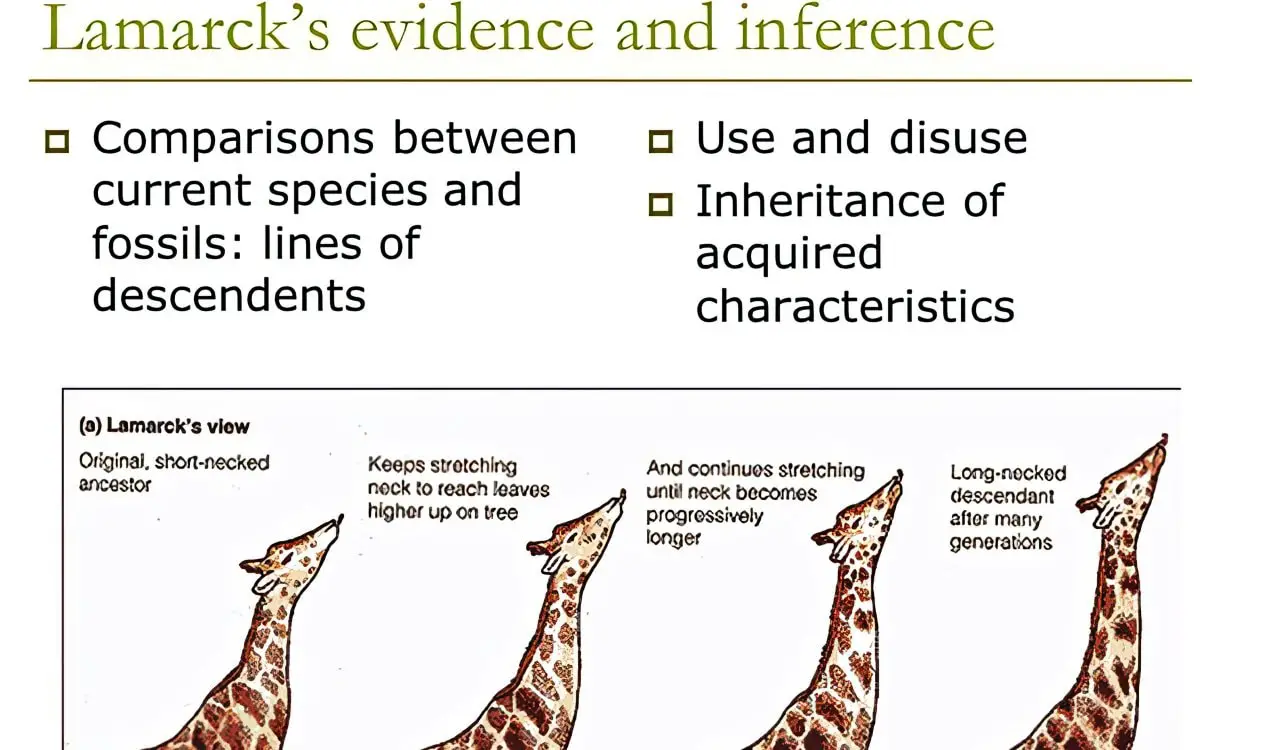 Convincing Scientific Theories That Fooled Scientists For Years